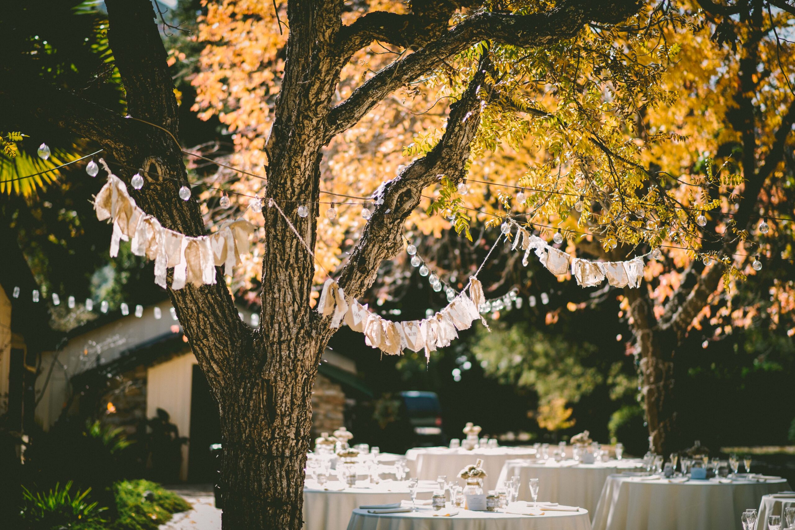 a lovely outdoor fall dinner party