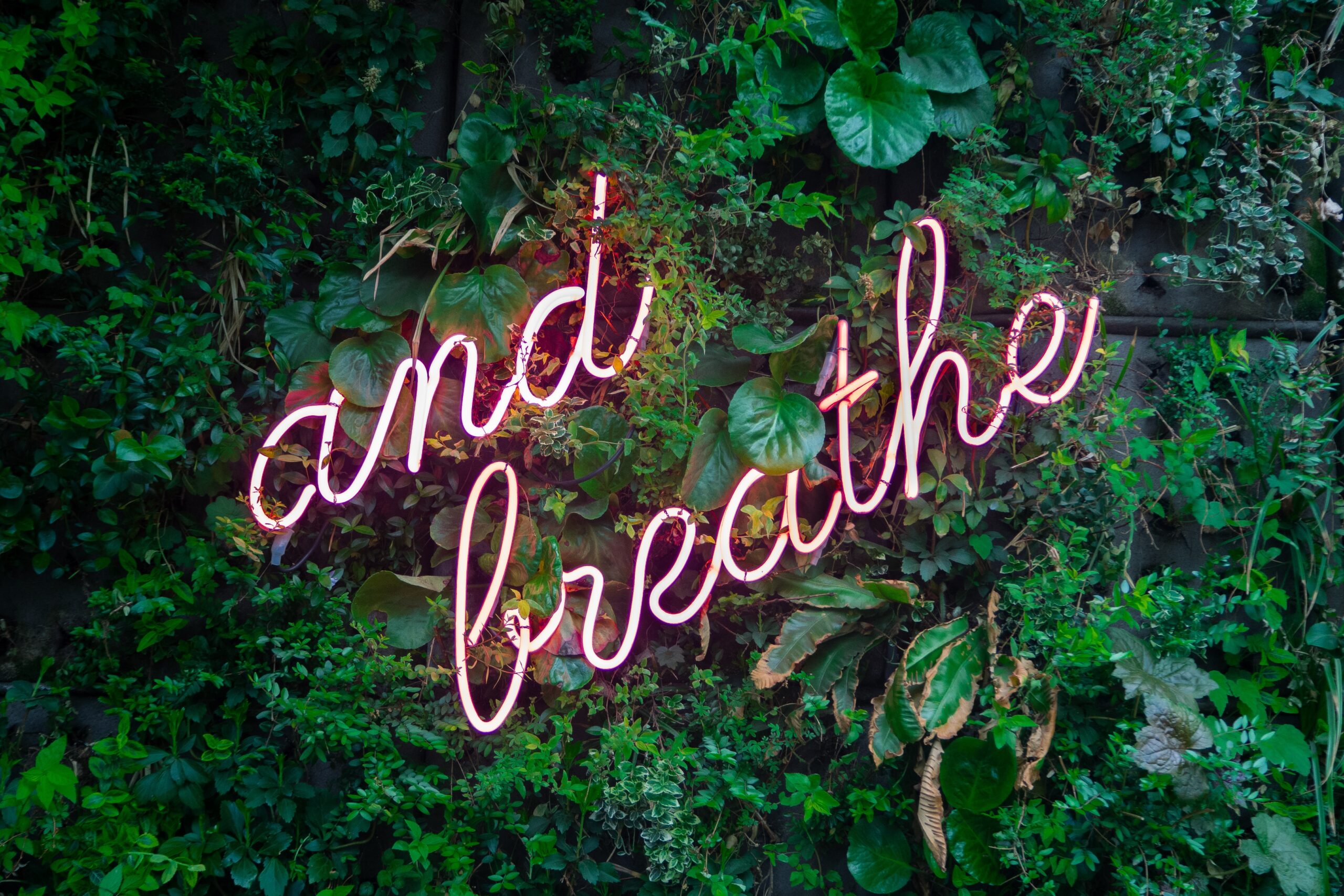 Neon sign reading 'and breathe'
