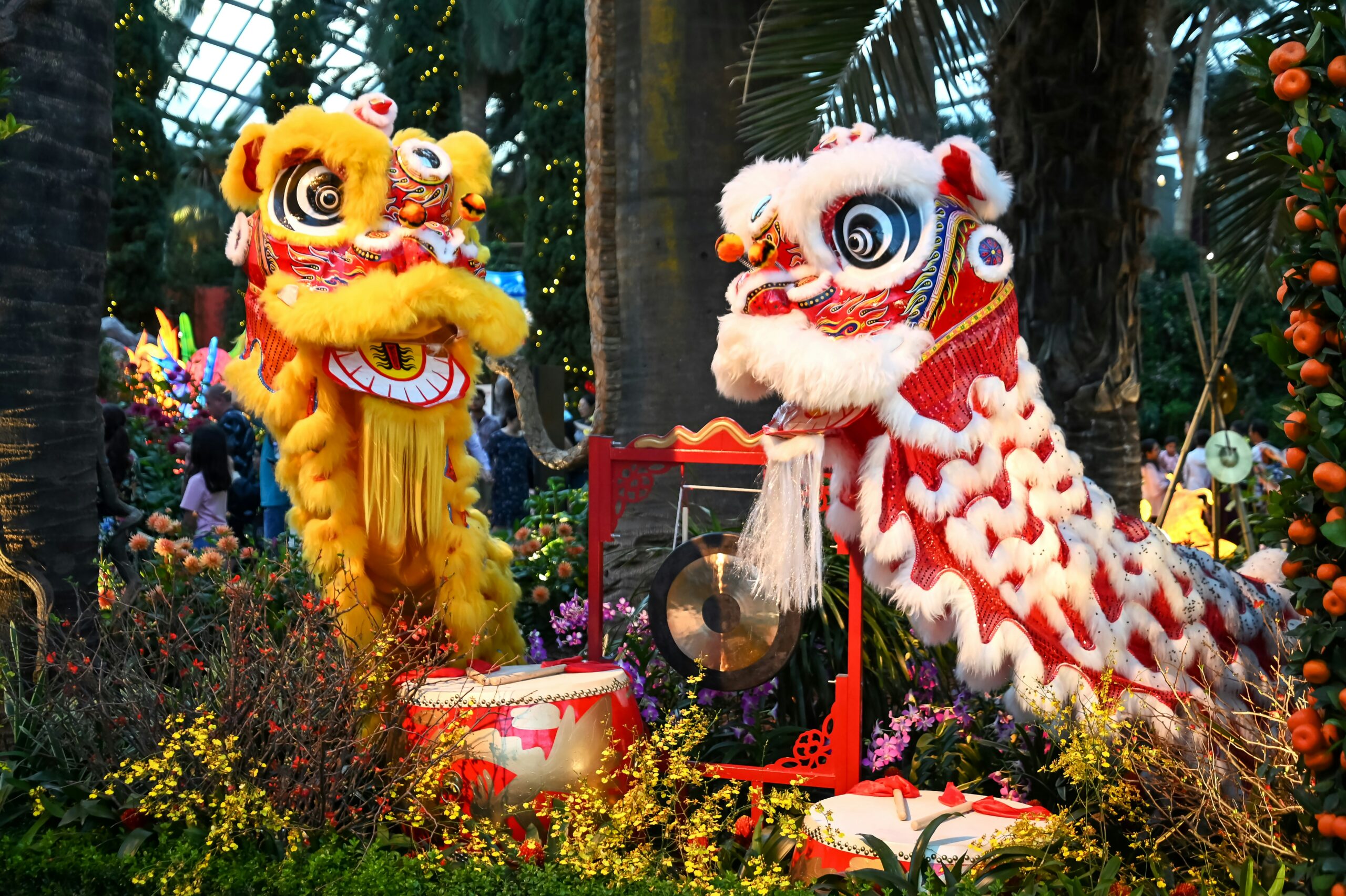 Colorful lion dancers cerebrate at a lunar New Year event