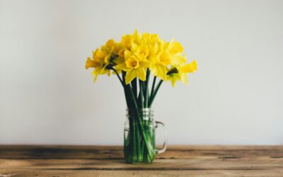 Creative Fundraising Ideas for the Spring Equinox