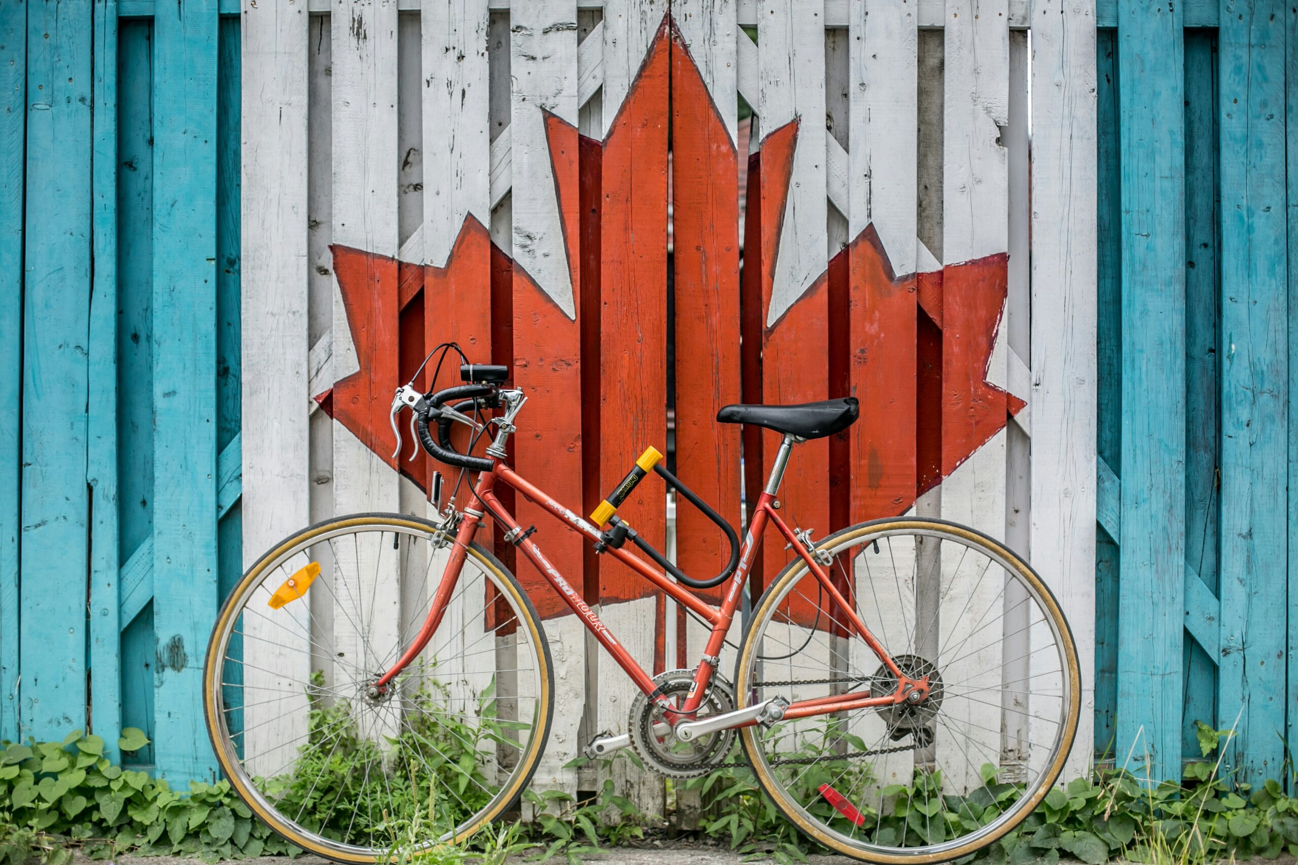 Red bicycle leaning against rustic fence with large painted maple leaf in Canadian red and white colors